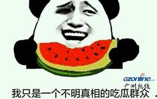 吃瓜群众吃瓜网,网络舆论场中的“瓜田”观察