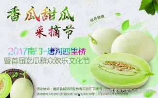 网红吃瓜大集合集,揭秘娱乐圈幕后风云