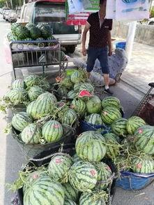 丰县网红吃瓜事件