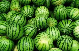 网红吃瓜群怎么进群的,如何轻松加入热门话题聚集地