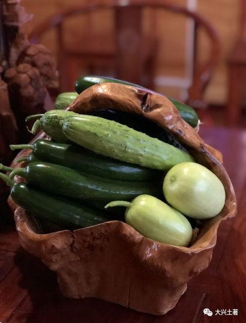 网红吃瓜的视频,揭秘娱乐圈幕后真相