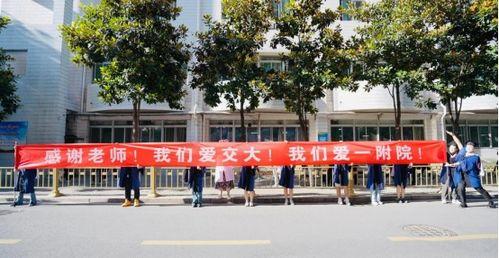 西安交大医学院解剖吃瓜网,揭秘人体奥秘的“吃瓜”之旅