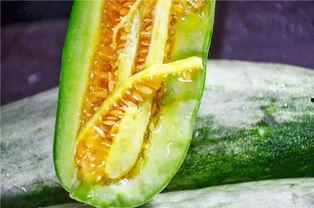 网红吃瓜网站有哪些