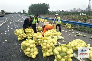 河南省网红吃瓜事件