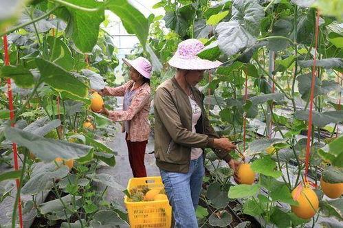 凉山吃瓜网红是谁