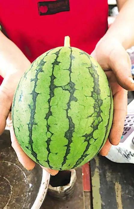 青岛探店网红吃瓜事件,揭秘幕后真相与网络舆论风暴