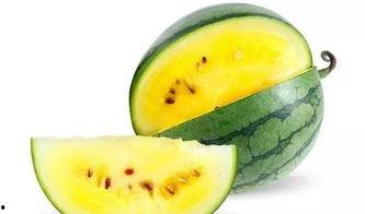 郑州吃瓜400万网红,揭秘网络红人幕后风云