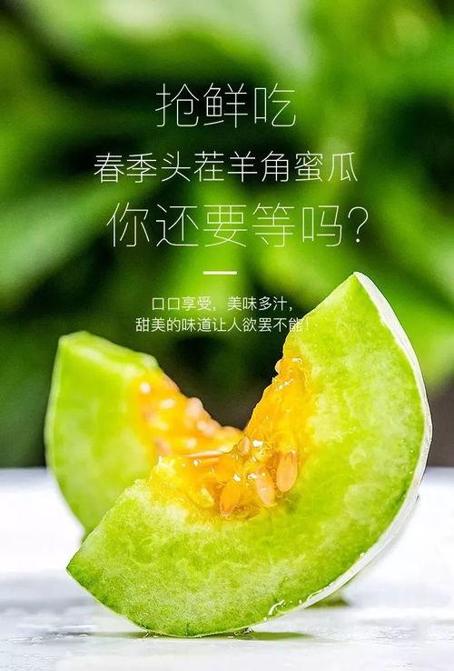 可以吃网红瓜的网站,畅享网红瓜的盛宴